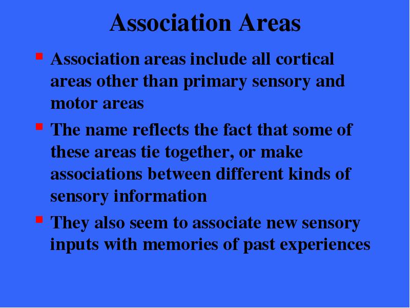 Association Areas Association