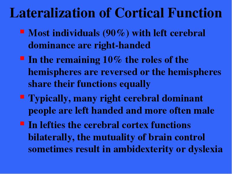 Lateralization of Cortical