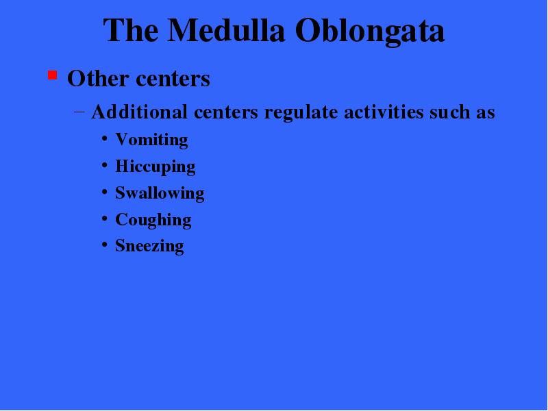 The Medulla Oblongata Other