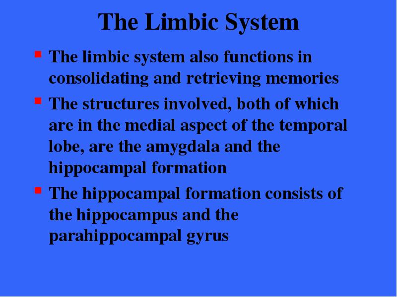 The Limbic System The limbic
