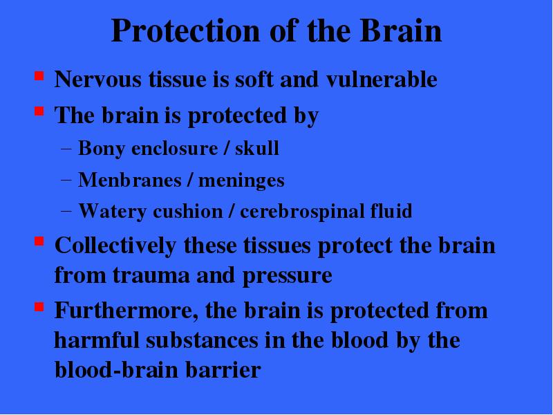 Protection of the Brain
