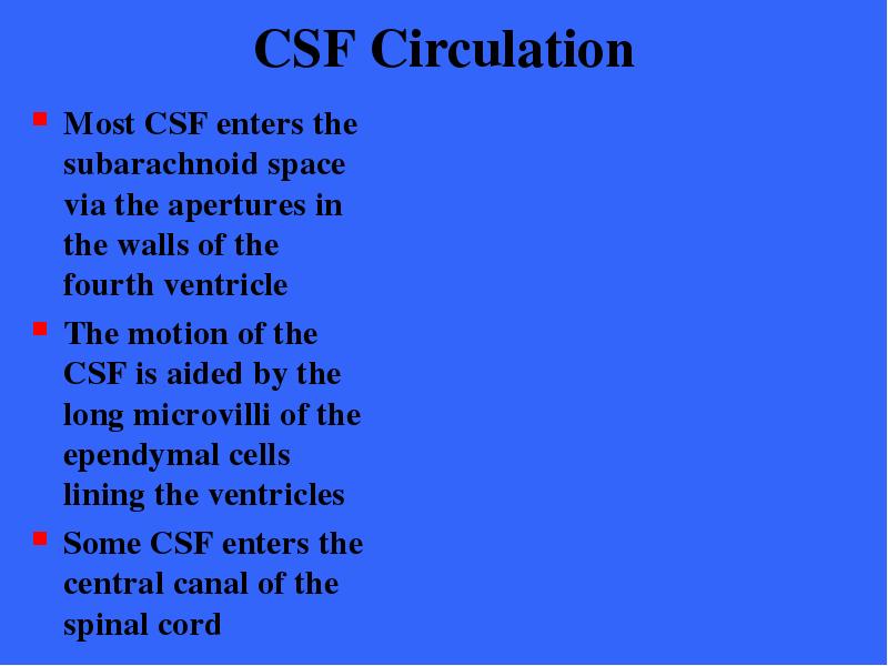 CSF Circulation Most CSF