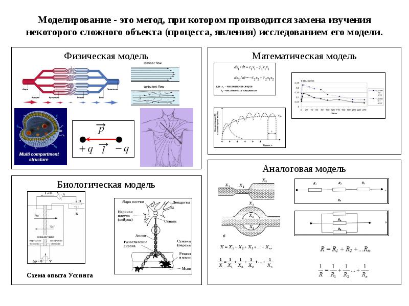 Презентация Физическая, математическая, аналоговая, биологическая модели процессов. Моделирование. (Лекция 1)
