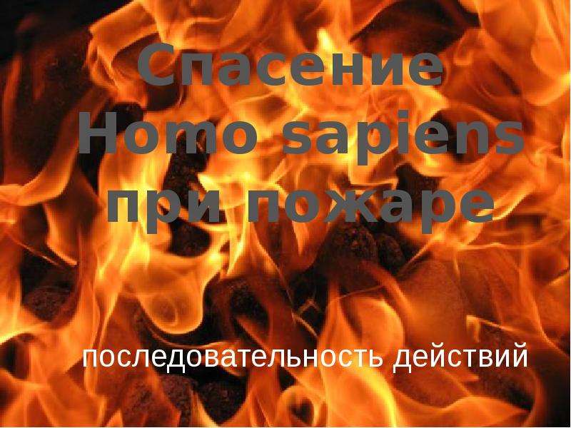Презентация Спасение Homo sapiens при пожаре. Последовательность действий