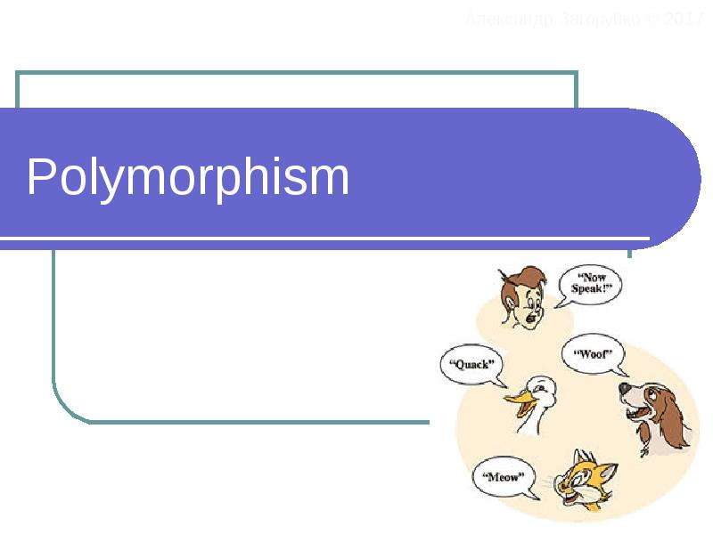 Презентация Polymorphism. Создание проекта