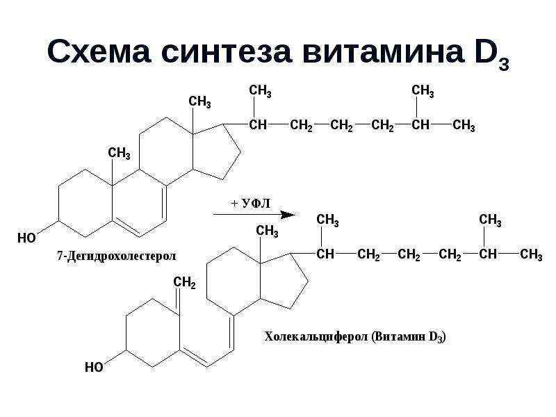 Схема синтеза витамина D