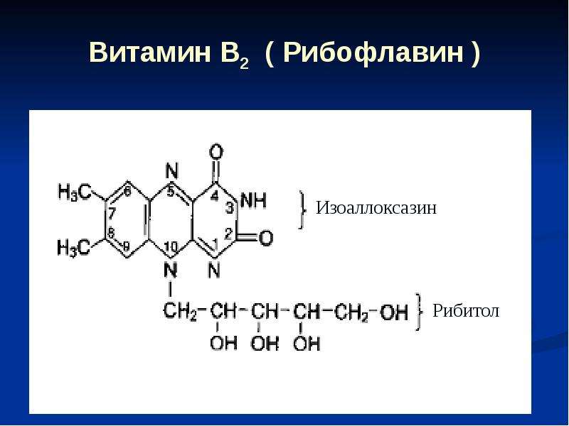 Витамин В Рибофлавин
