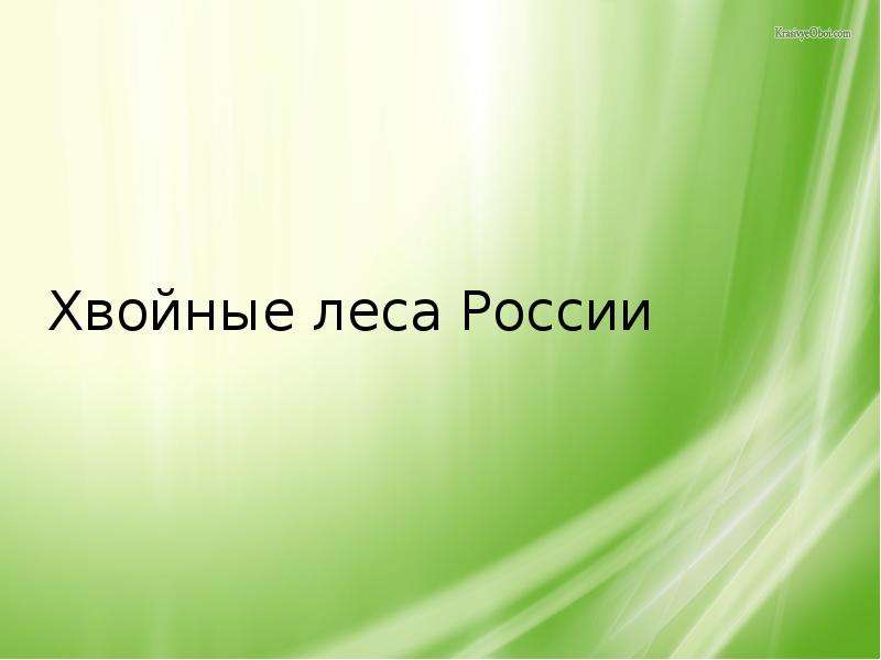 Презентация Хвойные леса России