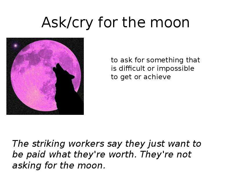 Ask cry for the moon to ask
