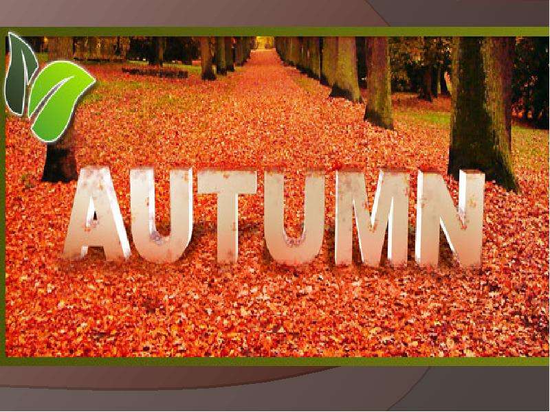Презентация Autumn-fall-the-basics-and-holidays-picture-description-exercises-reading-comprehensio118261