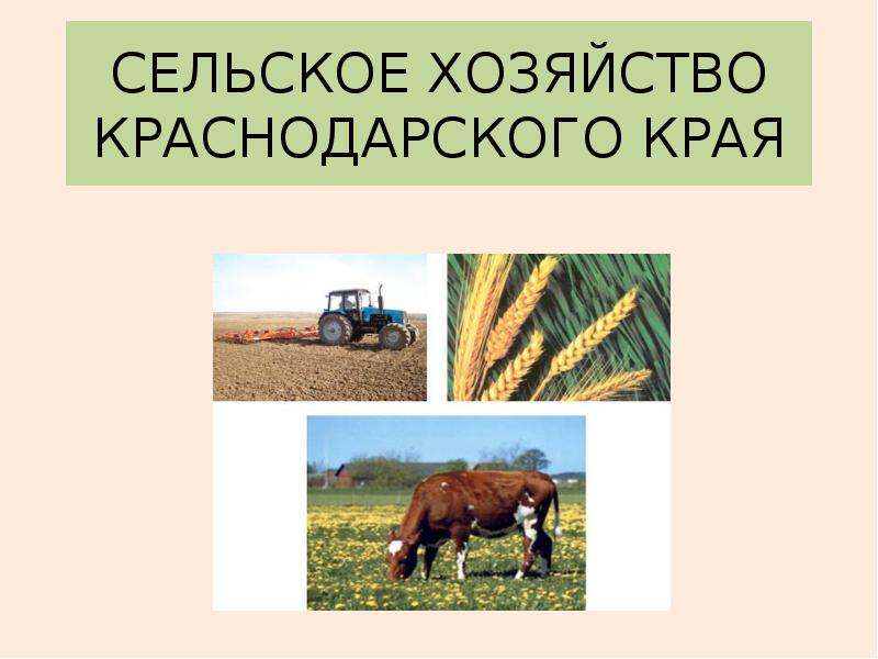 Презентация Сельское хозяйство Краснодарского края