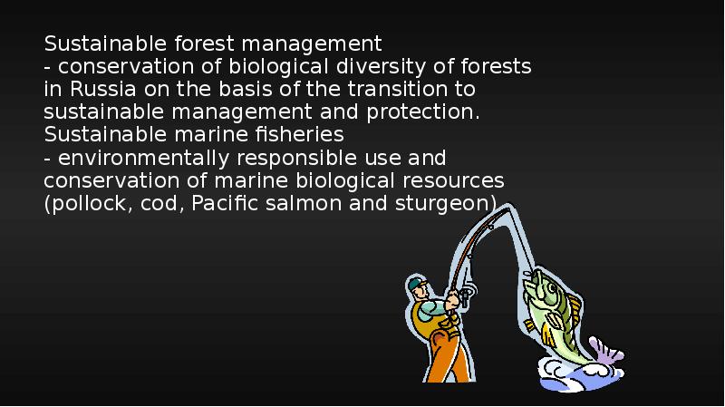 Sustainable forest management