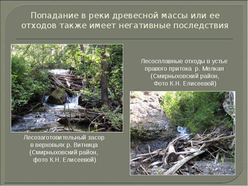 Попадание в реки древесной