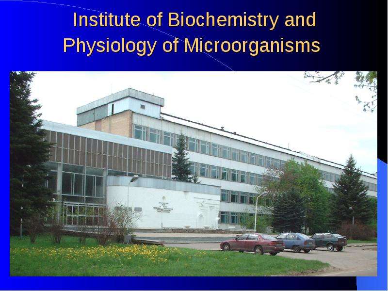 Institute of Biochemistry and