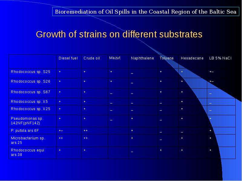 Growth of strains on