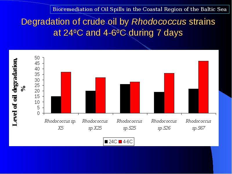 Degradation of crude oil by