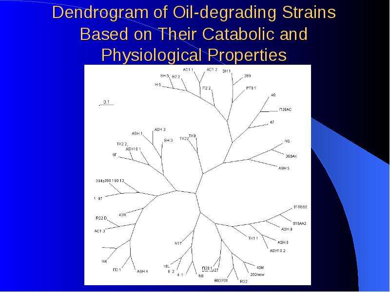 Dendrogram of Oil-degrading