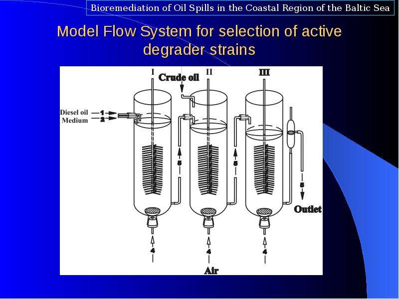 Model Flow System for