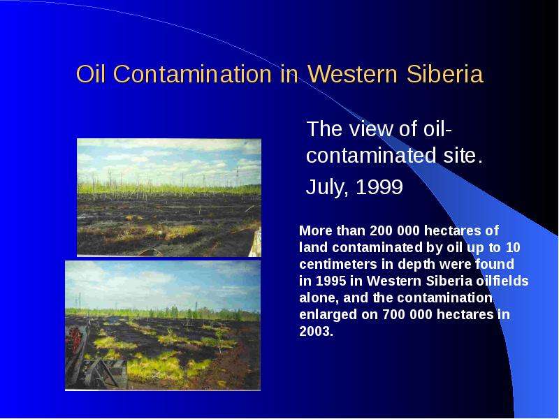 Oil Contamination in Western