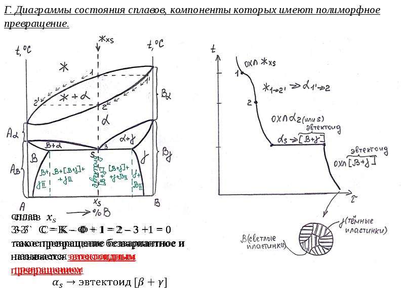 Презентация Диаграммы состояния сплавов, компоненты которых имеют полиморфное превращение