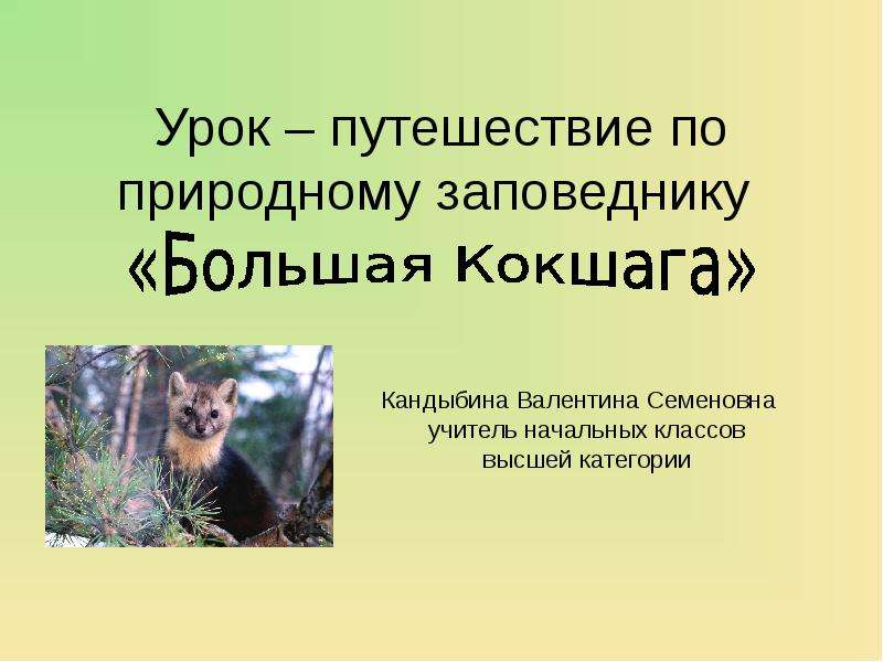Презентация Урок – путешествие по природному заповеднику Большая Кокшага