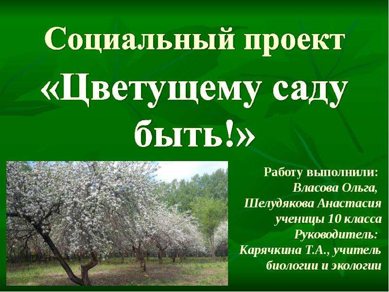 Презентация Благоустройство территории заброшенного сада для жителей поселка Ремзавод