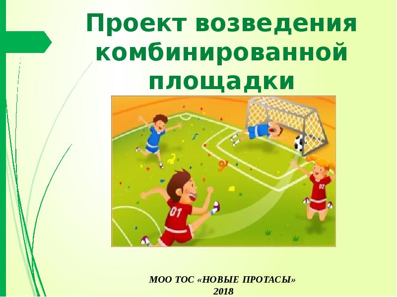 Презентация Проект возведения комбинированной площадки «Спортивные Протасы»