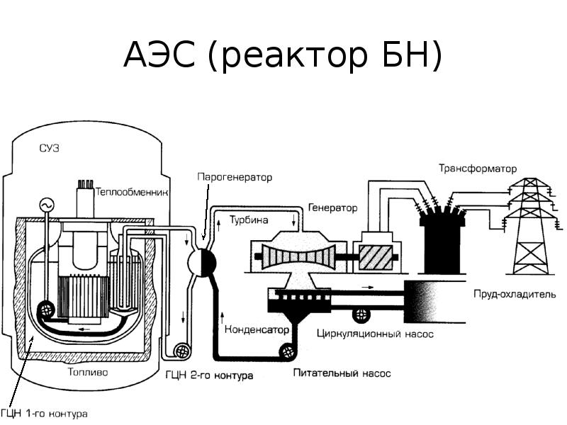 АЭС реактор БН