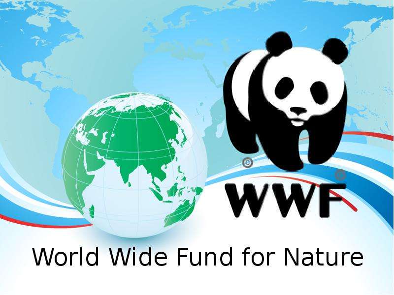 Презентация World Wide Fund for Nature