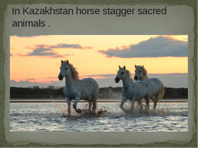 In Kazakhstan horse stagger