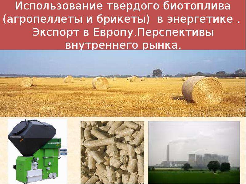 Презентация Использование твердого биотоплива (агропеллеты и брикеты) в энергетике. Экспорт в Европу. Перспективы внутреннего рынка