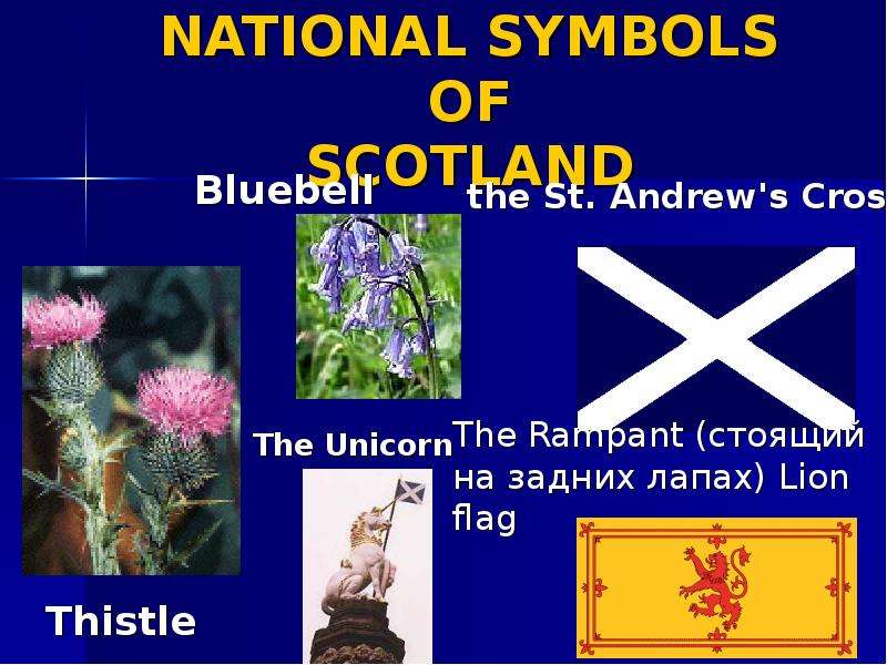 NATIONAL SYMBOLS OF SCOTLAND