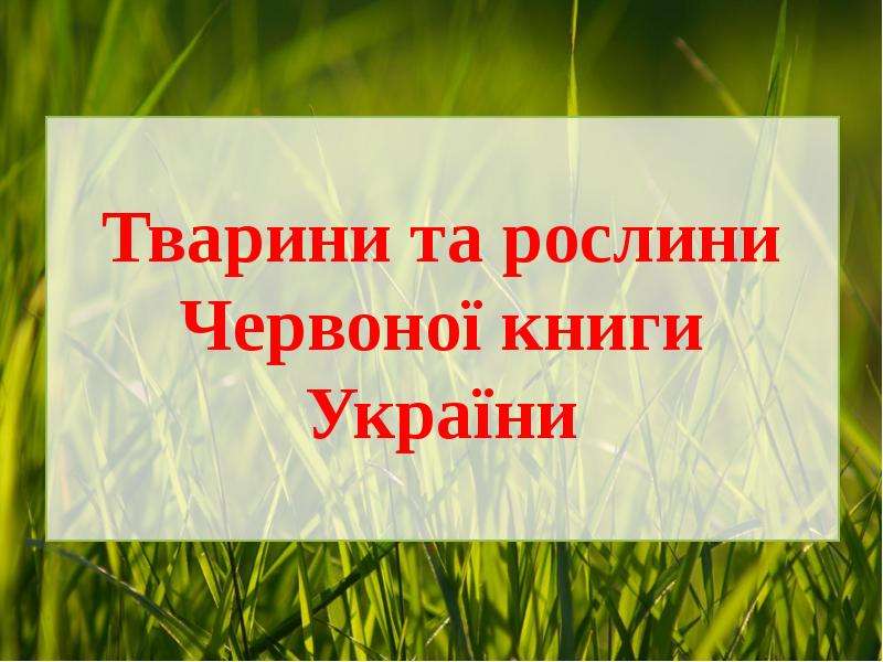 Презентация Тварини та рослини Червоної книги України