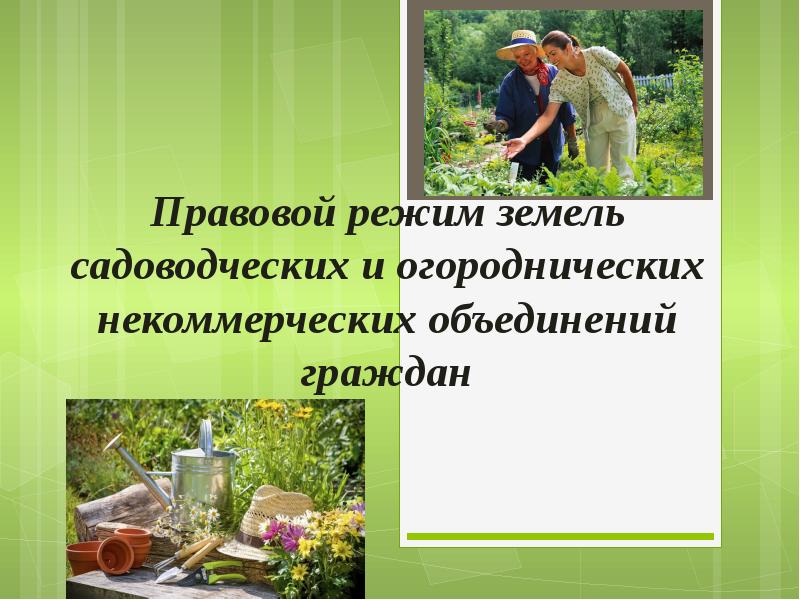 Презентация Правовой режим земель садоводческих и огороднических некоммерческих объединений