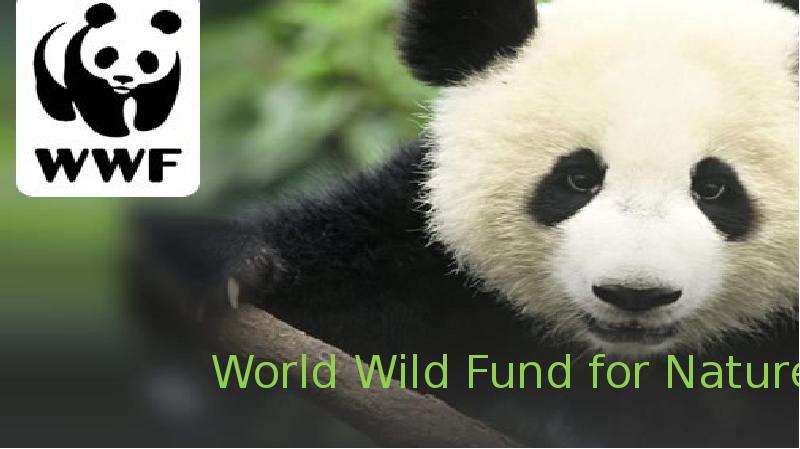 Презентация World wild fund for nature