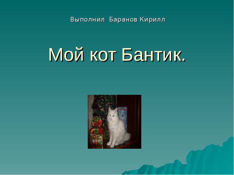 Презентация Мой кот Бантик