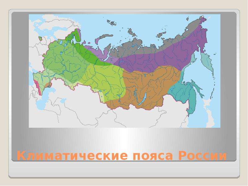 Презентация Климатические пояса России
