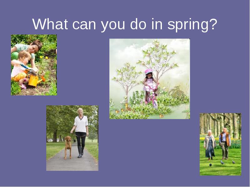 What can you do in spring?
