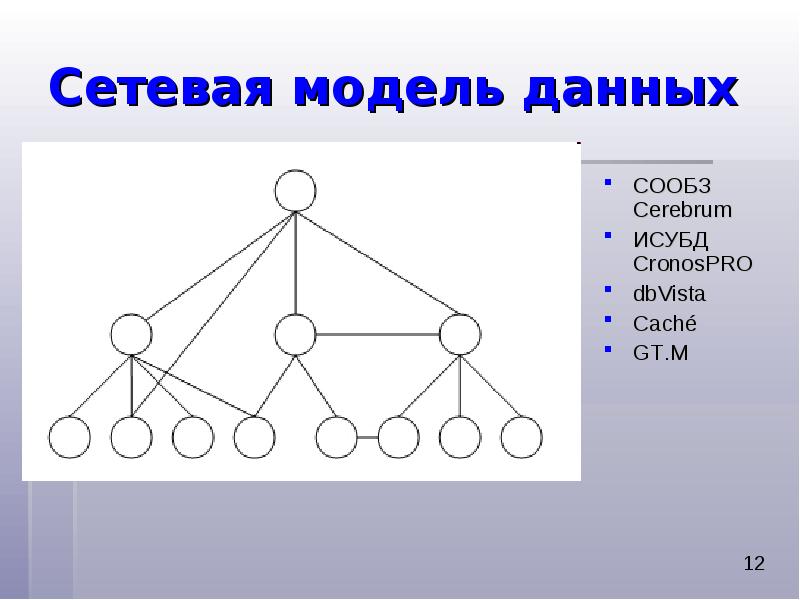 Сетевая модель данных СООБЗ