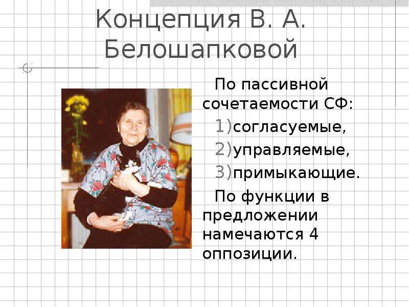 Концепция В. А. Белошапковой