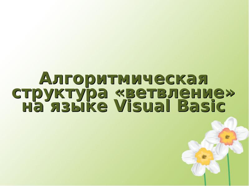 Презентация Алгоритмическая структура ветвление на языке Visual Basic