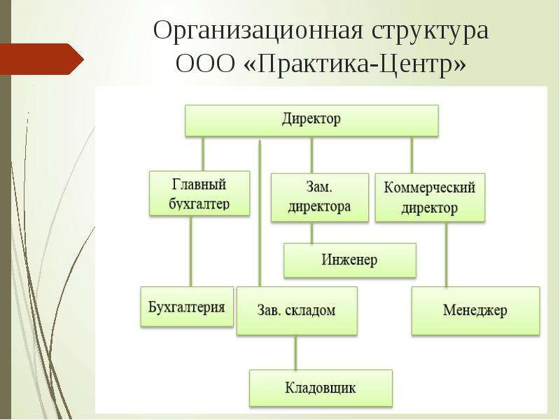 Организационная структура ООО
