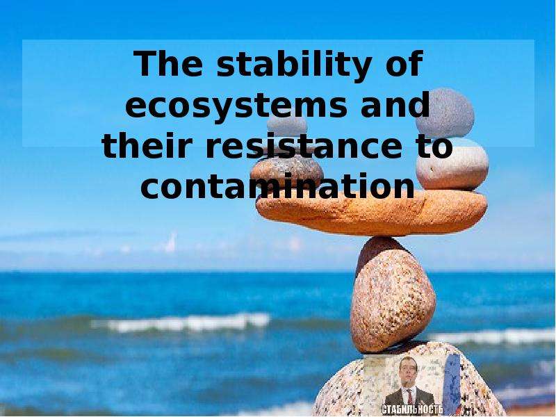 Презентация The stability of ecosystems and their resistance to contamination