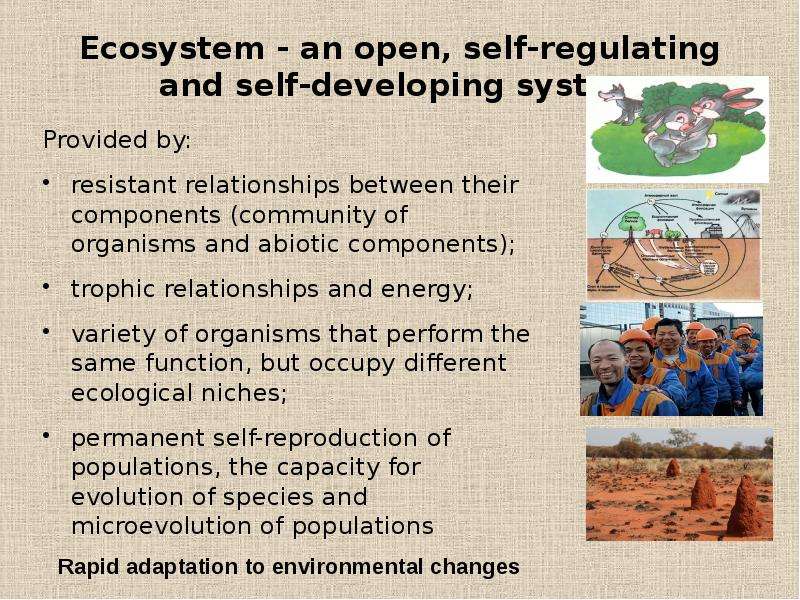 Ecosystem - an open,