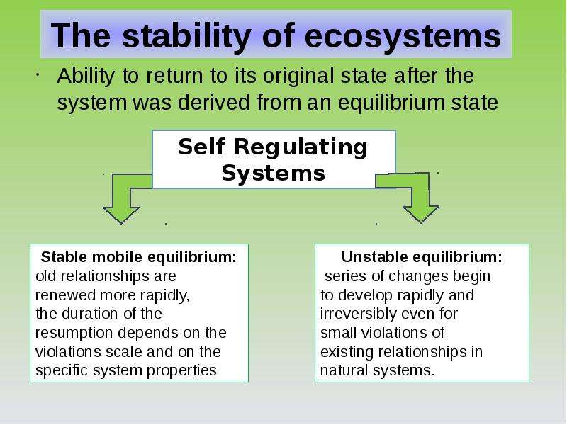 The stability of ecosystems