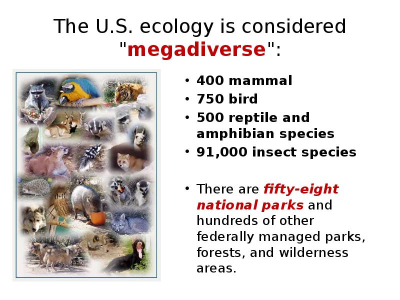 The U.S. ecology is