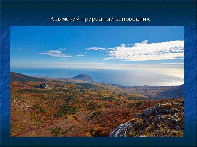 Презентация Крымский природный заповедник